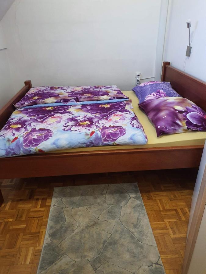 Terme Catez Apartma Nine Catez ob Savi Εξωτερικό φωτογραφία