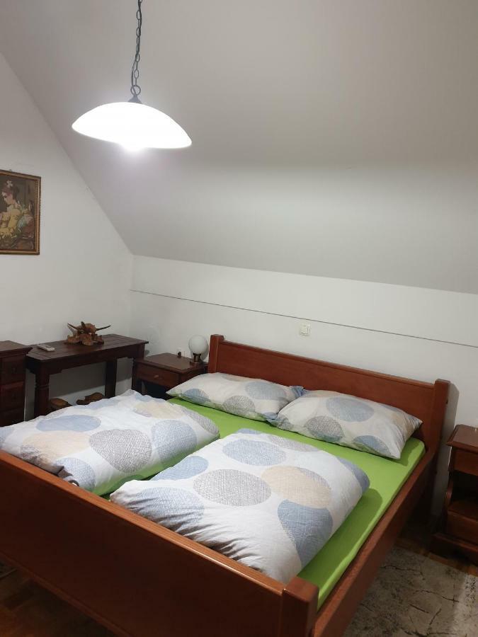 Terme Catez Apartma Nine Catez ob Savi Εξωτερικό φωτογραφία