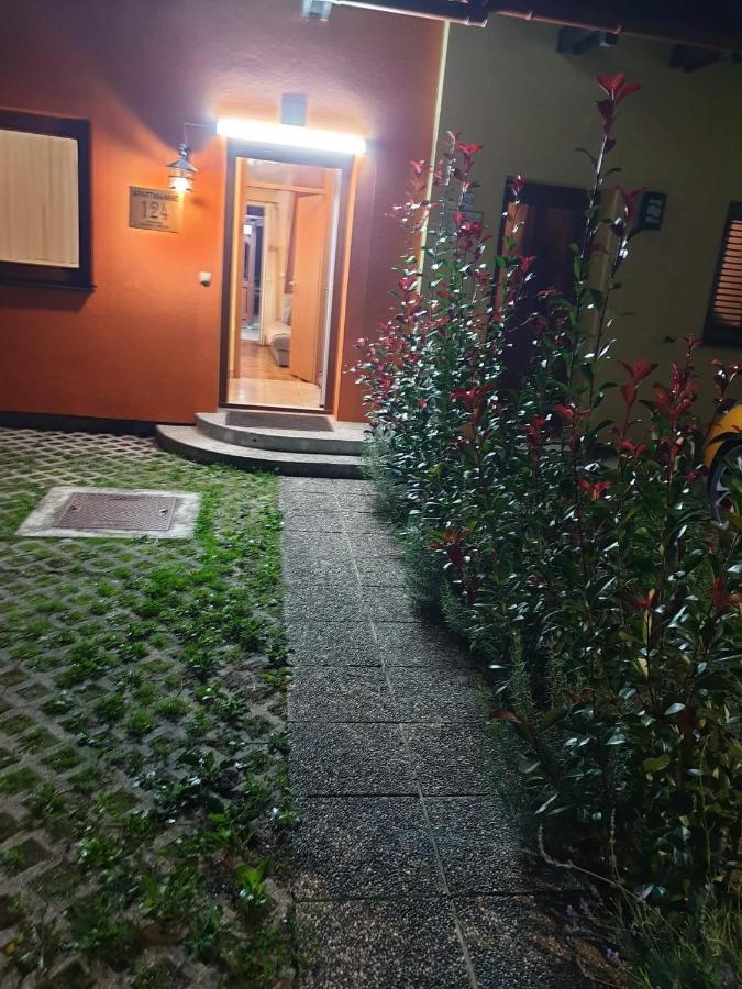Terme Catez Apartma Nine Catez ob Savi Εξωτερικό φωτογραφία