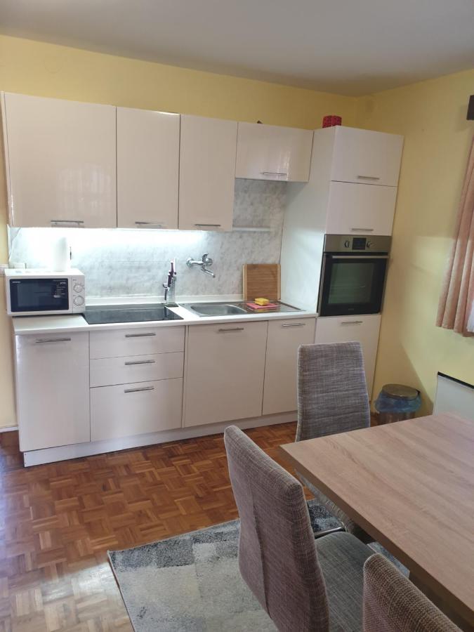 Terme Catez Apartma Nine Catez ob Savi Εξωτερικό φωτογραφία